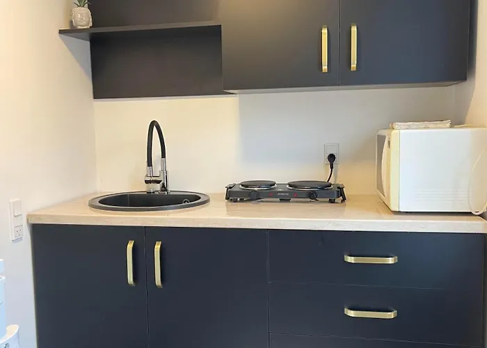 Billund- Newly Renovated 1 Bedroom Kitchen